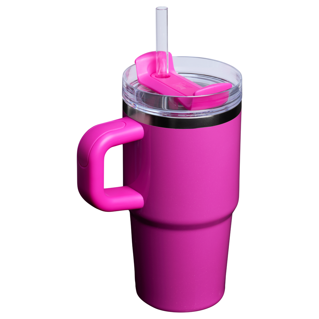 The Quencher H2.O FlowState™ Tumbler | 20 OZ - Stanley Create