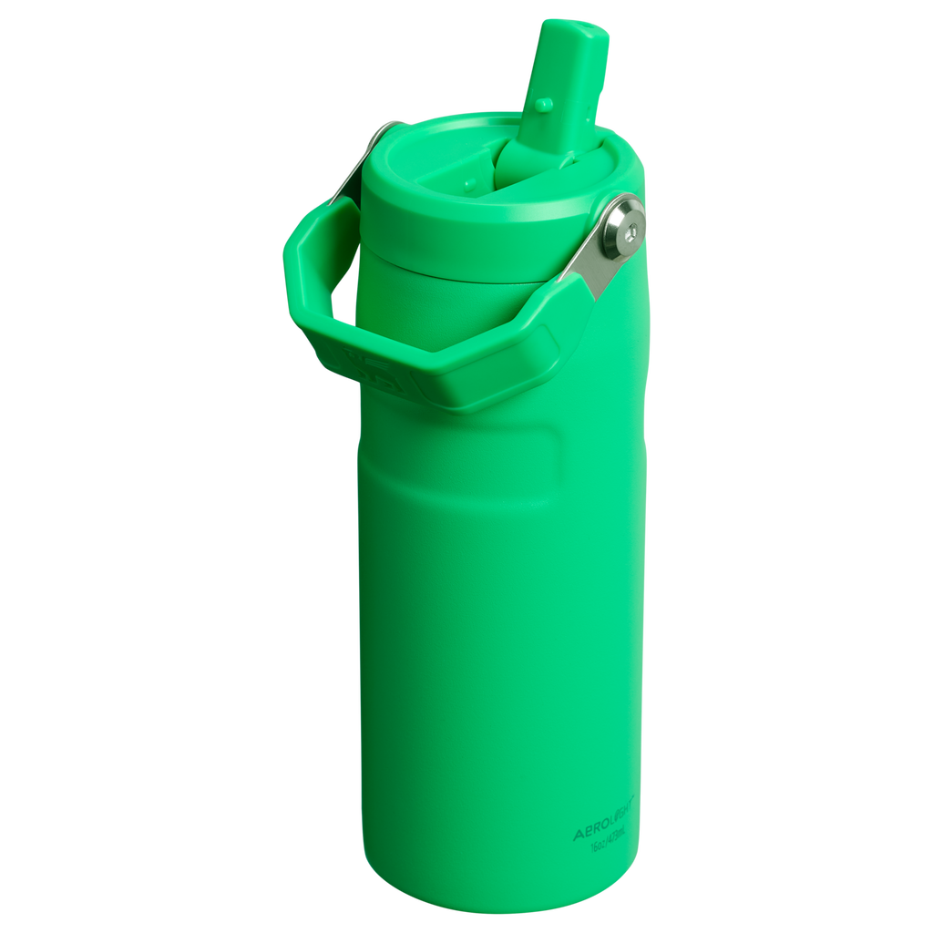 The IceFlow™ Bottle with Flip Straw Lid | 16 OZ