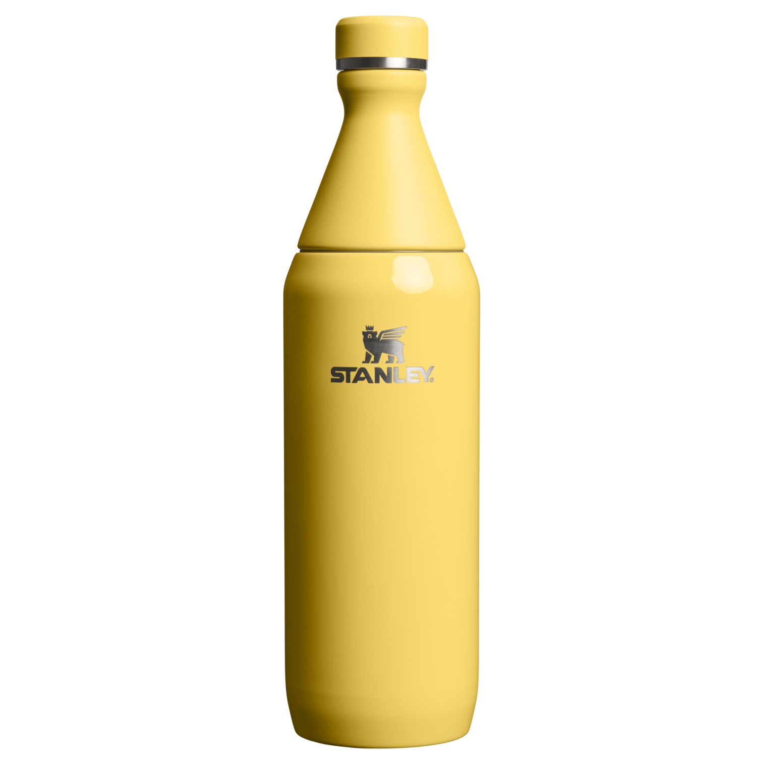 All Day Slim Bottle | 20 OZ - Stanley Create