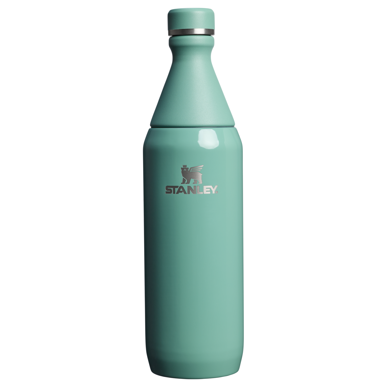 All Day Slim Bottle | 20 OZ - Stanley Create