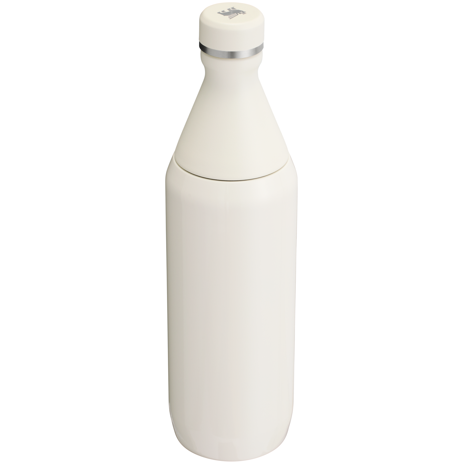 All Day Slim Bottle | 20 OZ - Stanley Create