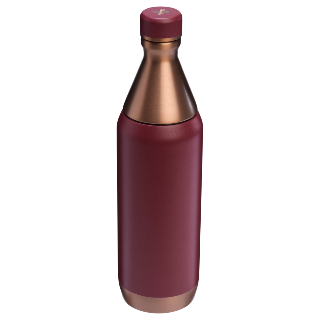 All Day Slim Bottle | 20 OZ - Stanley Create