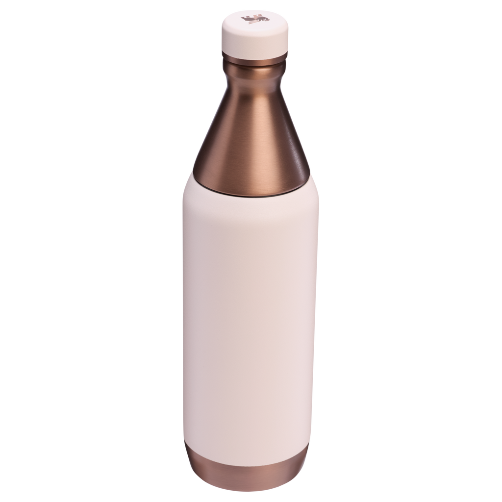 All Day Slim Bottle | 20 OZ - Stanley Create
