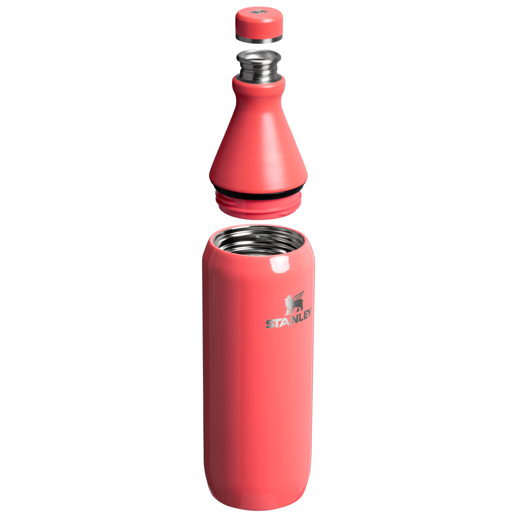 All Day Slim Bottle | 20 OZ - Stanley Create