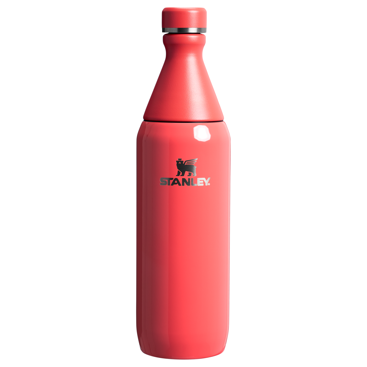 All Day Slim Bottle | 20 OZ - Stanley Create