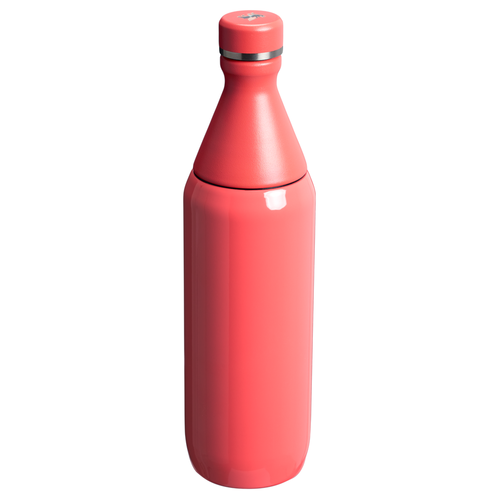 All Day Slim Bottle | 20 OZ - Stanley Create