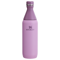All Day Slim Bottle | 20 OZ - Stanley Create