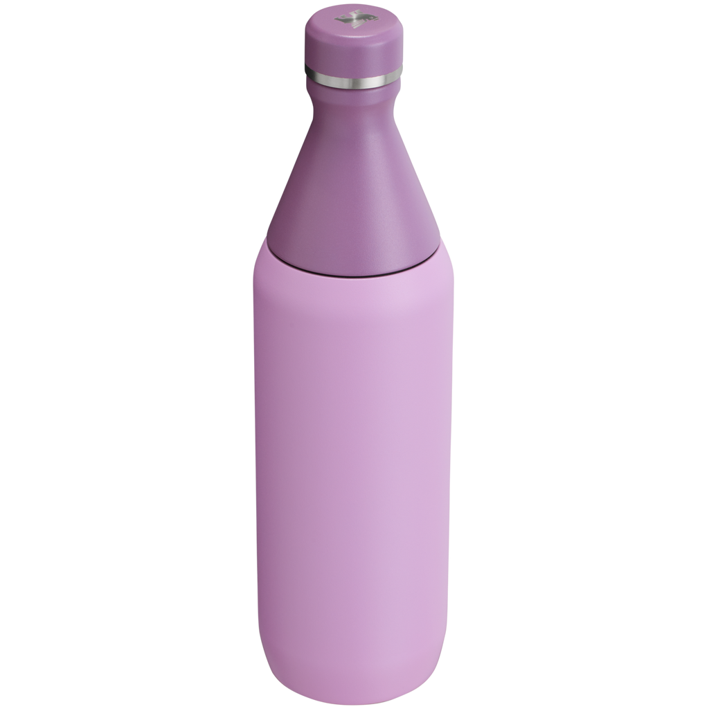 All Day Slim Bottle | 20 OZ - Stanley Create