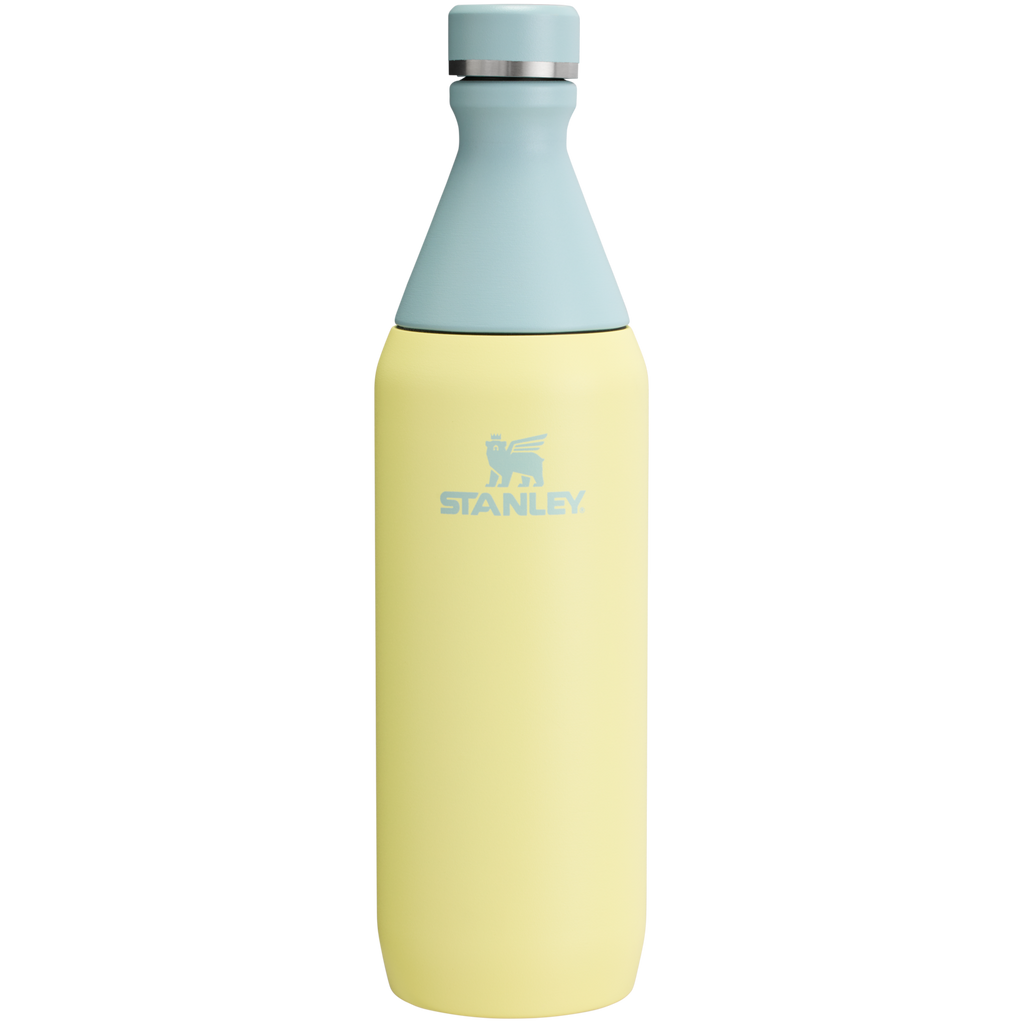 All Day Slim Bottle | 20 OZ - Stanley Create
