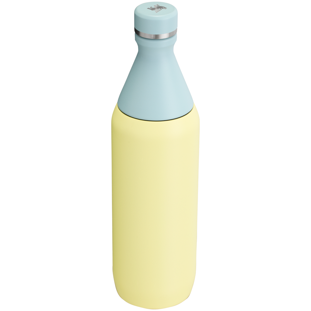 All Day Slim Bottle | 20 OZ - Stanley Create