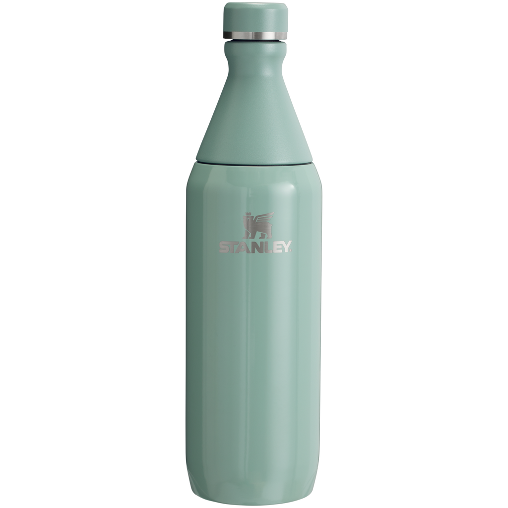 All Day Slim Bottle | 20 OZ - Stanley Create