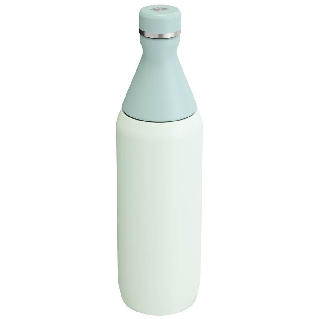 All Day Slim Bottle | 20 OZ - Stanley Create