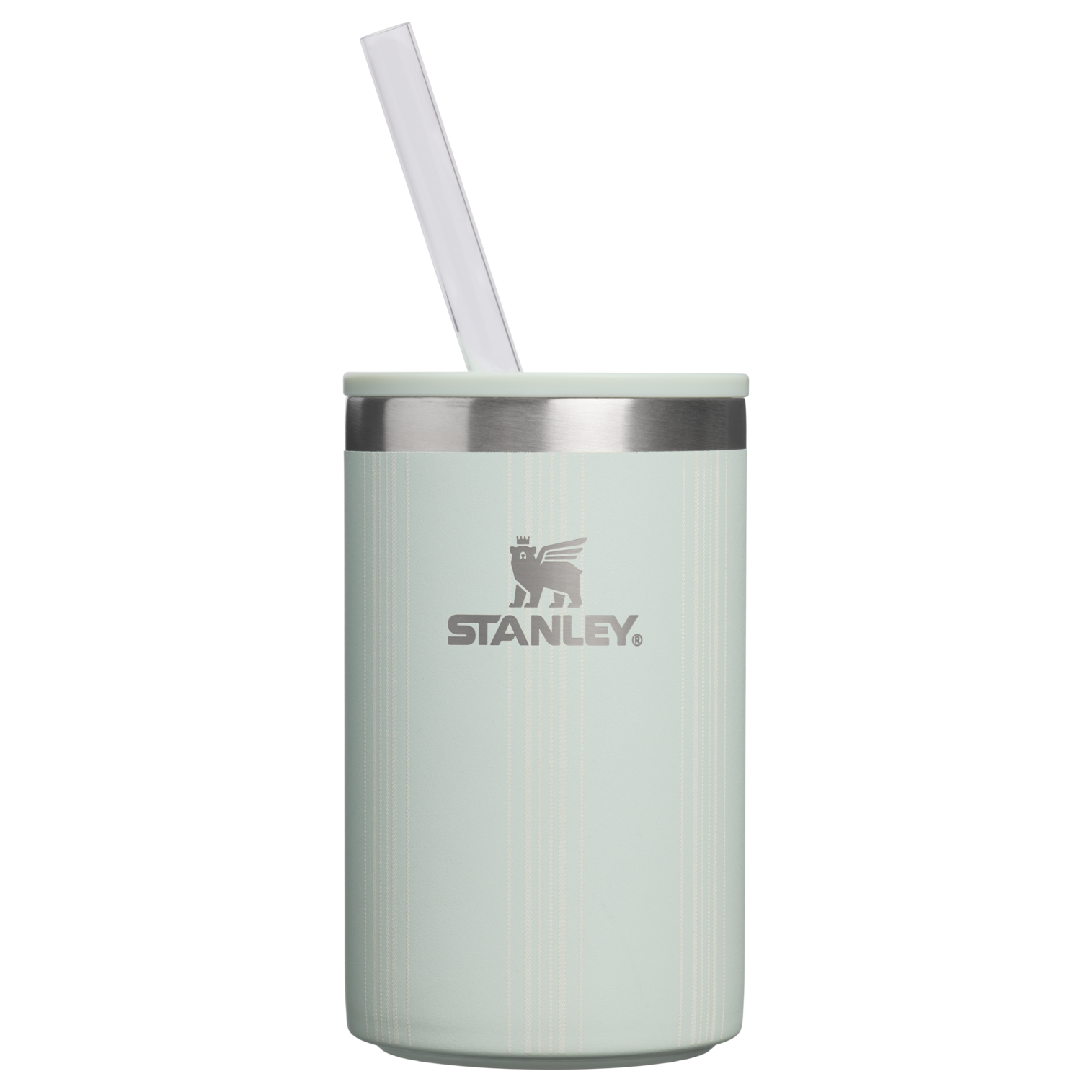 The Everyday Can Cooler Cup | 10 OZ