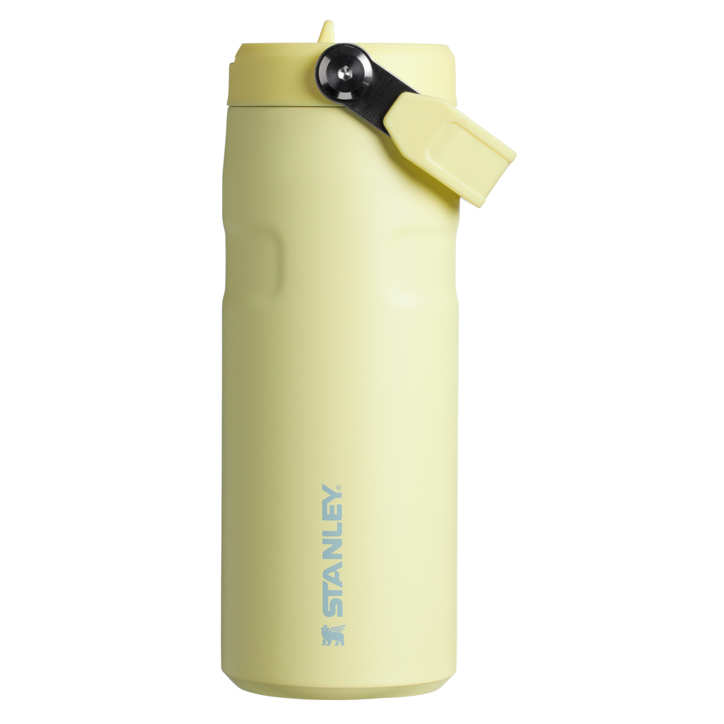 The IceFlow™ Bottle with Flip Straw Lid | 16 OZ