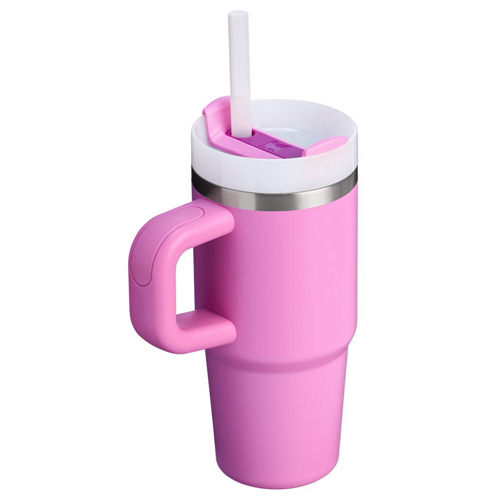The Quencher H2.O FlowState™ Tumbler | 14 OZ - Stanley Create