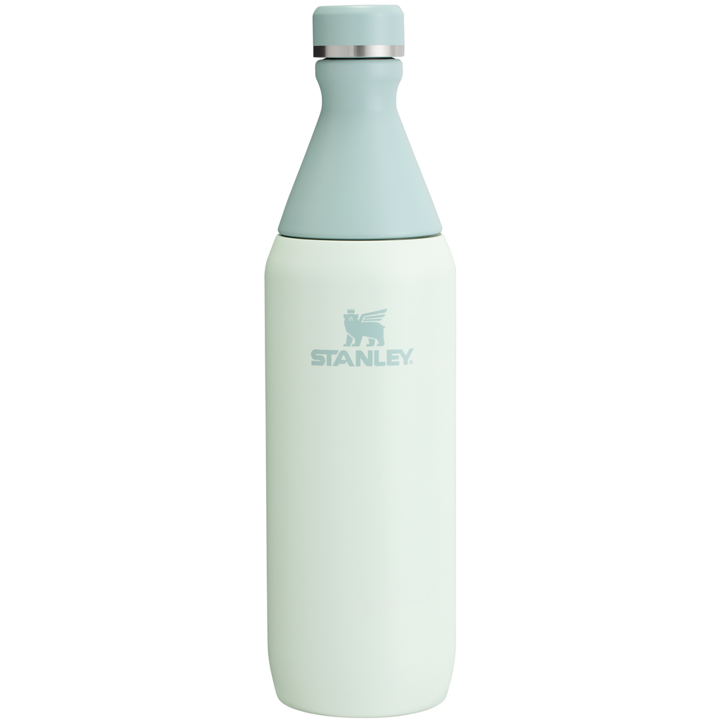 All Day Slim Bottle | 20 OZ - Stanley Create